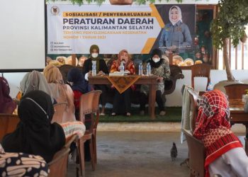 Srikandi Fraksi Golkar DPRD Kalsel Ini Sosialisasi Perda Penyelenggaraan Kesehatan