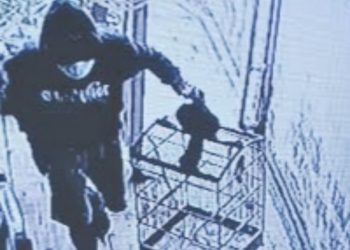 Dua Pelaku Komplotan Pencuri Burung Mahal Diringkus