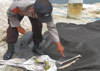 Ngeri, Buruh Temukan Tulang Belulang Manusia dalam Pasir Uruk