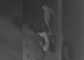 Terlibat Perkelahian Satu Lawan Satu, Habibie Tewas di depan Booze Lounge and Cafe