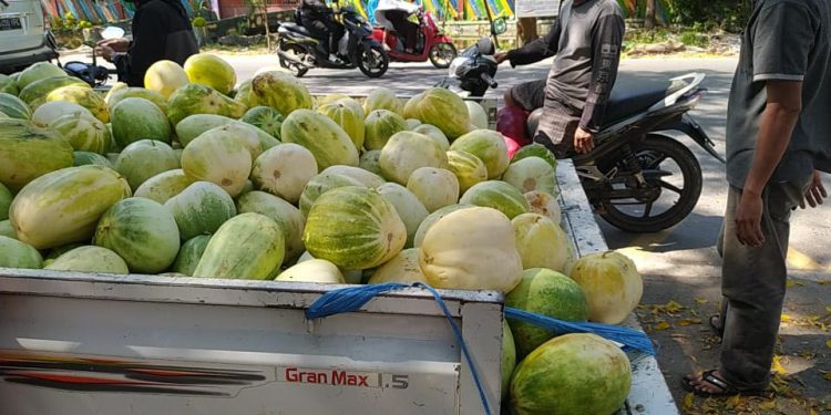 Pedagang buah bilungka batu di kawasan Belitung Darat. (foto : shn)