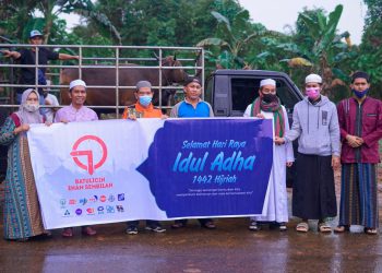Jelang Idul Adha, Yayasan Haji Maming Sebar 150 Ekor Sapi Kurban untuk Masyarakat