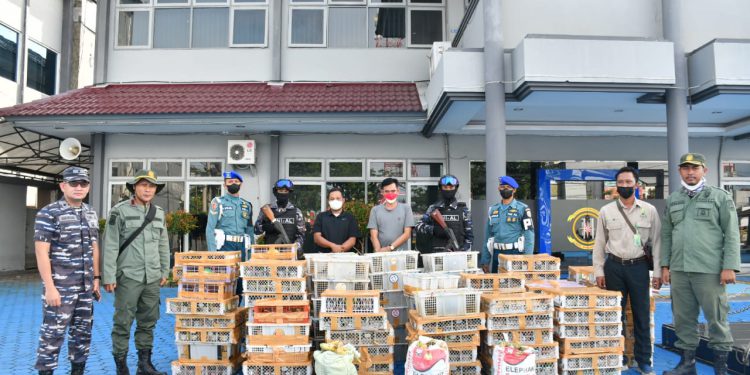 Lanal Banjarmasin saat merilis kasus pengiriman satwa burung secara ilegal. (foto : istimewa)