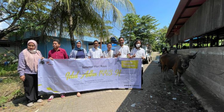 IJTI Kalsel menerima penyerahan hewan kurban dari PT Arutmin. (foto : shn)