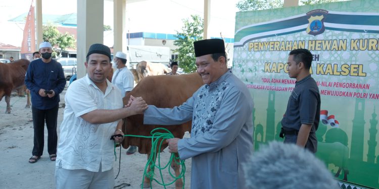 Penyerahan hewan kurban secara simbolis oleh Kapolda Kalsel Irjen Pol Rikwanto. (foto : istimewa)