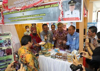 Tingkatkan Ekonomi Desa, Bank Kalsel Bakal Bermitra dengan BUMDes 