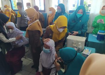 Jauh dari Target, Program BIAN Diperpanjang 