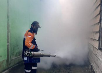 Kasus DBD Meningkat, Begini Imbauan Dinkes Banjarmasin 