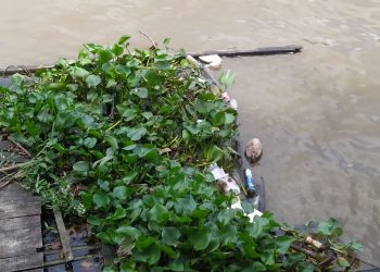 Sungai di Banjarmasin Mengandung Partikel Berbahaya Mikroplastik