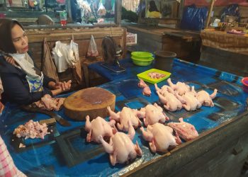 Sudah Dua Pekan Harga Daging Ayam Naik