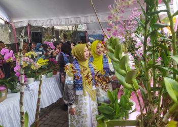 Ladies Program Rakerwil APEKSI Tinjau Festival Anggrek Seribu Sungai