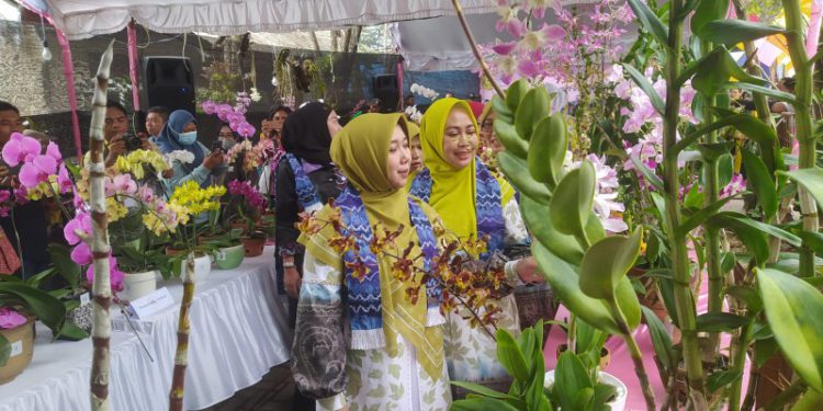 Ketua PAI Banjarmasin Hj Siti Wasilah saat meninjau Festival Anggrek Seribu Sungai. (foto : shn)