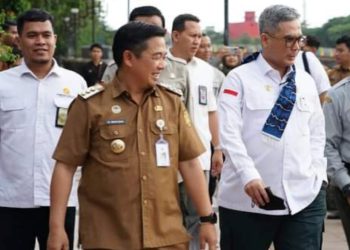 Wamen Pertanian RI Kaget Masih Ada 2.700 Hektare Lahan Pertanian di Banjarmasin