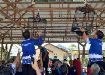 Dua Tahun Vakum, Ibnu Optimis Lomba dan Pameran Burung Berkicau Lagi