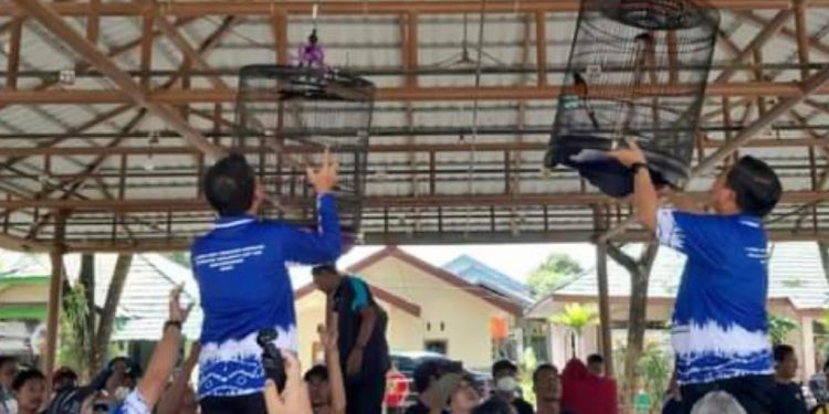 Walikota Banjarmasin H Ibnu Sina saat menggantung sangkar berisi burung tanda dimulainya lomba dan pameran burung berkicau. (foto : Humas Pemko Banjarmasin)