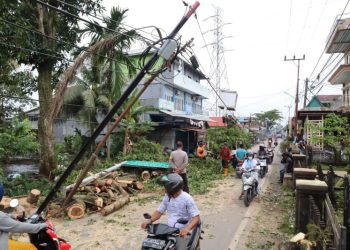 Sempat Terdengar Suara Ledakan, Lima Pohon hingga Tiang Listrik Tumbang