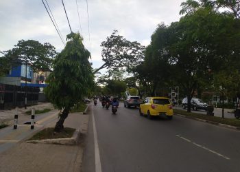 Antisipasi Pohon Tumbang, DLH Banjarmasin Lakukan Pemangkasan Hingga Tengah Malam