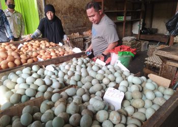 Harga Telur, Daging Ayam dan Bawang Naik Sekitar 12 Persen 