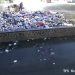 Dipasangi CCTV, Sampah di Eks TPS Kuripan Tetap Menumpuk