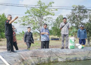 Komisi II Dewan Kalsel Adopsi Teknologi Pembudidayaan Ikan Sungai di Pulang Pisau