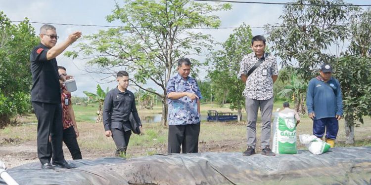 Komisi II DPRD Banjarmasin saat belajar pembudidayaan ikan sungai di di Instalasi Budi Daya Ikan Lahan Gambut Garung di Pulang Pisau, Kalteng.