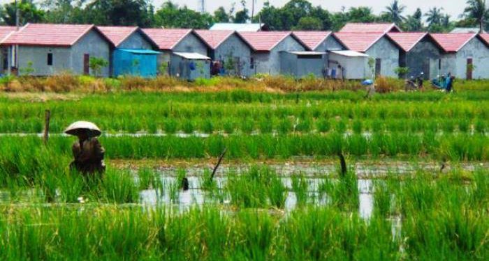 Lahan pertanian di Banjarmasin