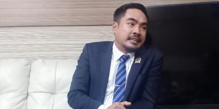 Ketua DPD PAN Banjarmasin Harry Wijaya.