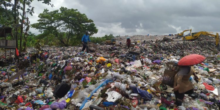 Pemulung yang memulung sampah di TPA Basirih. (foto : shn)