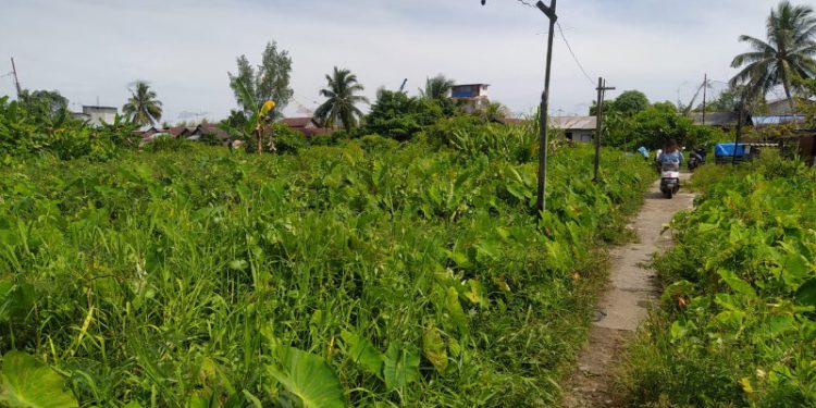 Lokasi yang akan dijadikan lapangan sepak bola di kecamatan Banjarmasin Barat. (foto : shn)