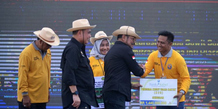 penyerahan simbolis penyaluran dana KUR Bank Kalsel kepada Peternak Sapi di Klaster PT. BKB sebesar Rp1,440 miliar. (foto : istimewa/Bank Kalsel)