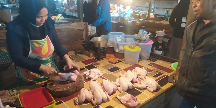 Pedagang ayam yang mengeluhkan kenaikan harga daging ayam. (foto : shn/seputaran)