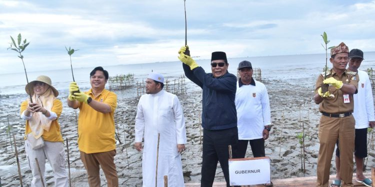 Gubernur Kalsel H Sahbirin Noor atau Paman Birin saat memimpin penanaman pohon bakau. (foto : istimewa/Biro Adpim Kalsel)