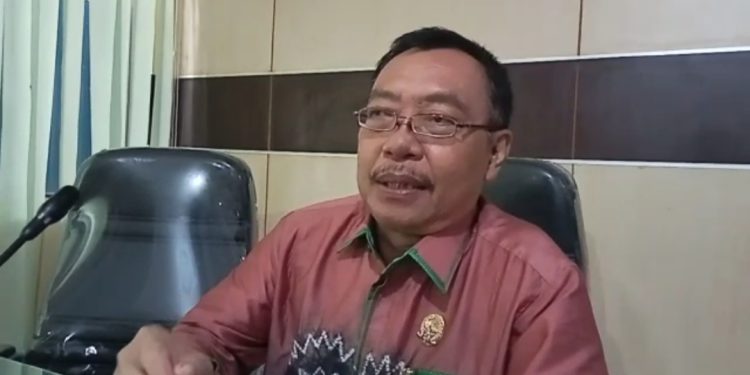 Wakil Ketua Komisi IV DPRD Banjarmasin Arupah Arif.