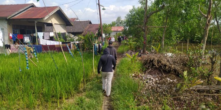 Kondisi jalan Simpang Jelai yang rusak dan telah ditumbuhi rumput ditutup dengan sabut kelapa. (foto : shn/seputaran)