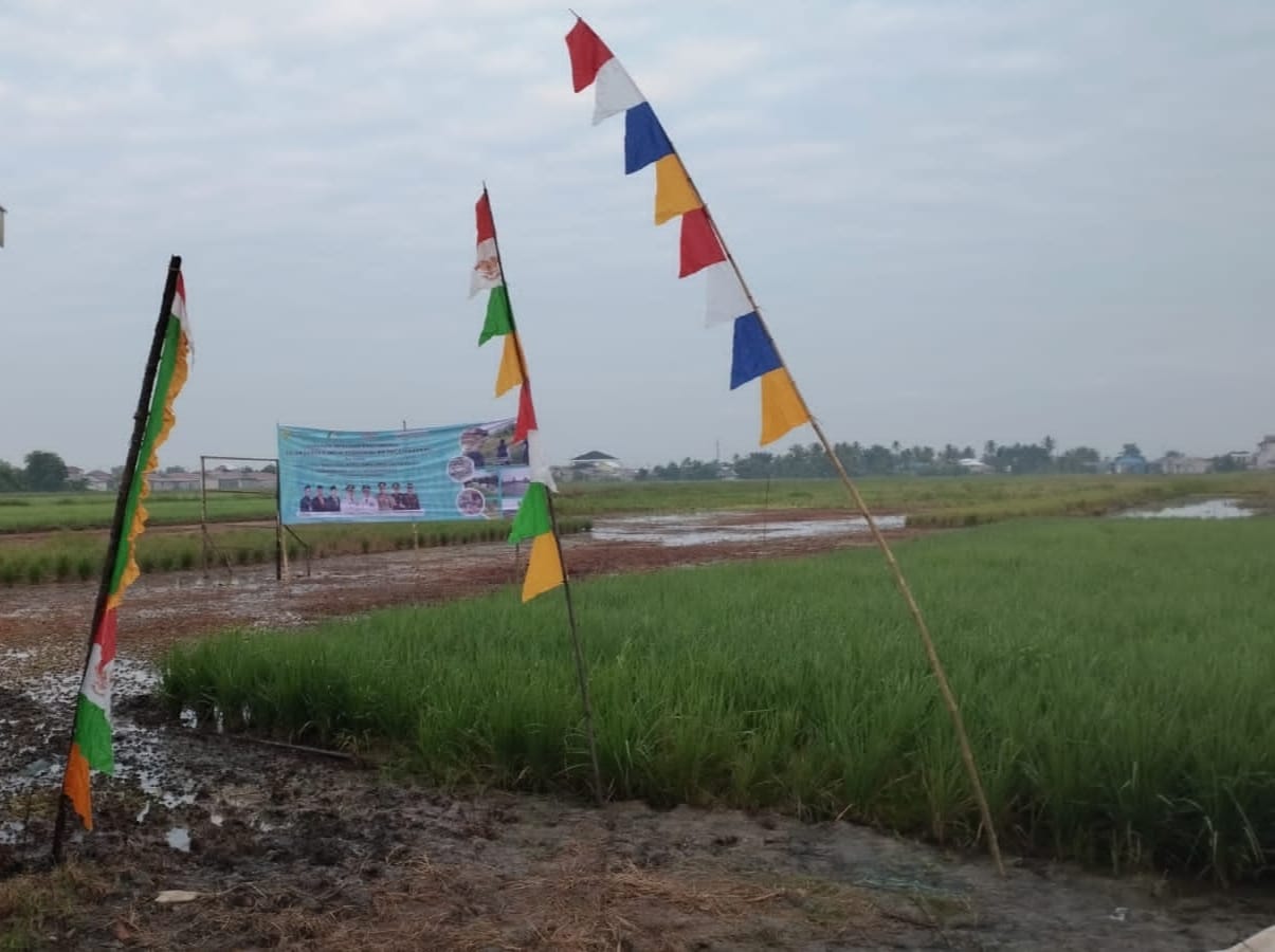 Pemko Banjarmasin Sudah Miliki 10 Hektare Lahan Pertanian Berkelanjutan