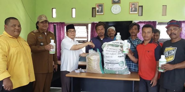 Anggota DPRD Kalsel Karlie Hanafi saat menyerahkan bantuan kepada Gapoktan. (foto : istimewa)