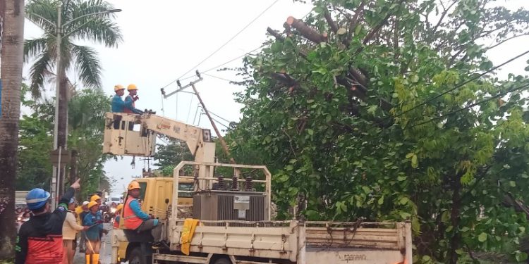 Petugas saat membersihkan pohon tumbang akibat hujan deras dan angin kencang. (foto : shn/seputaran)