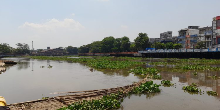 Pampangan Enceng Gondok di Sungai Martapura Banjarmasin. (foto : shn/seputaran)