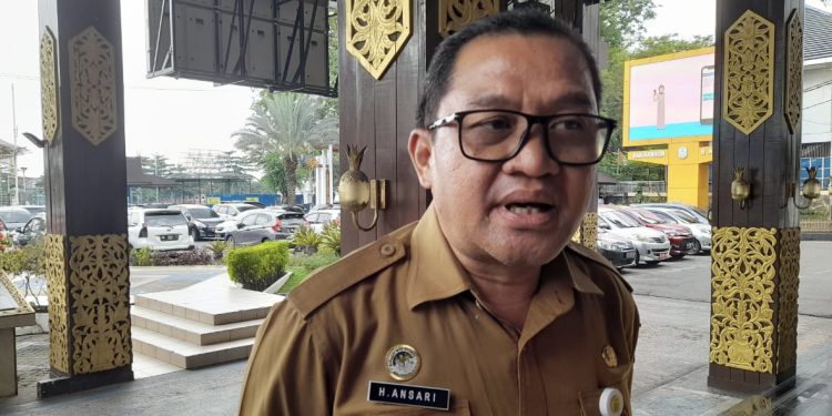 Kepala Dinas Koperasi Usaha Mikro dan Tenaga Kerja (Diskopumker) Banjarmasin Isa Ansari.