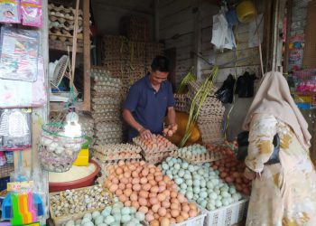 Pasca Pemilu, Harga Telur dan Beras Mengalami Kenaikan