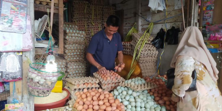 Pedagang telur di Pasar Cemara Banjarmasin. (foto : shn/seputaran)