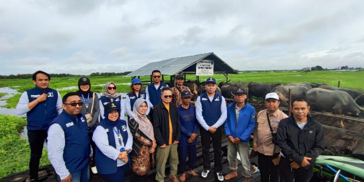 Tim Kemenkumham Kalsel bersama instansi terkait saat peninjauan Kerbau Rawa Amuntai. (foto : istimewa)