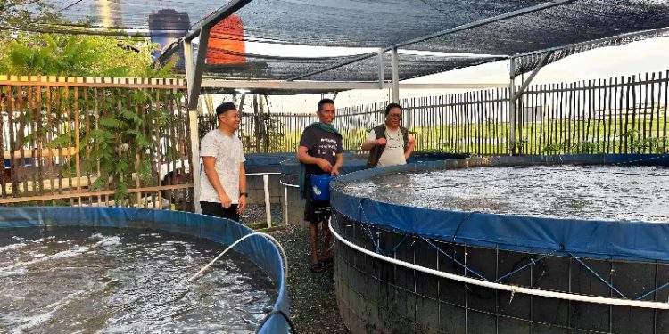 Gubernur Kalsel H Sahbirin Noor atau akrab disapa Paman Birin mendatangi Madkhazin (44), pelaku usaha budidaya ikan air tawar bioflok. (foto : Adpim Kalsel)