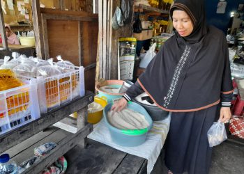 Harga Beras Hibrida di Pasaran Turun
