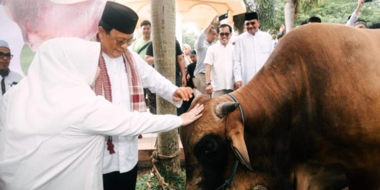 Gubernur Kalsel H Sahbirin Noor atau Paman Birin didampingi istri Hj Raudatul Jannah disapa Acil Odah saat menyerahkan sapi kurban bantuan Presiden RI Jokowi. (foto : adpim Kalsel)