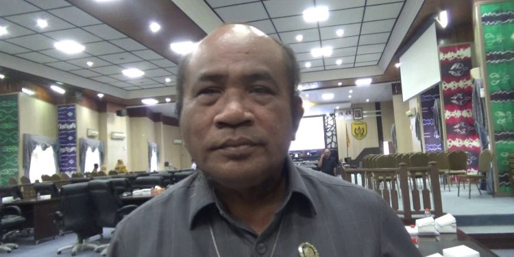 Ketua Komisi IV DPRD Banjarmasin Saut Nathan Samosir. (foto : sna/seputaran)