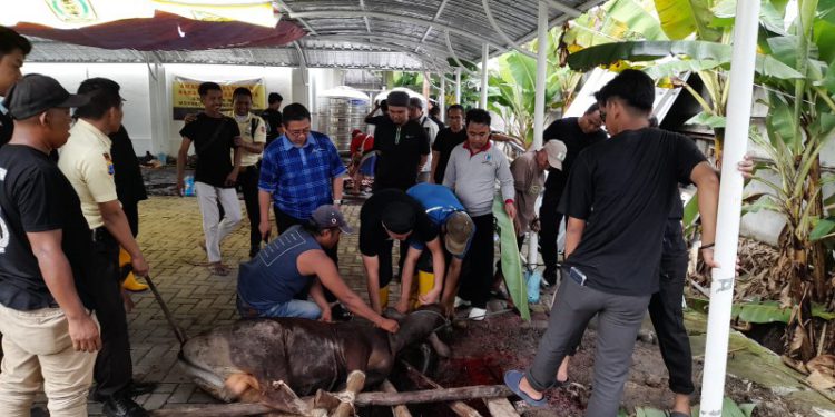 Pihak RSUD Sultan Suriansyah saat pelaksanaan ibadah kurban di halaman RSUD setempat. (foto : shn/seputaran)