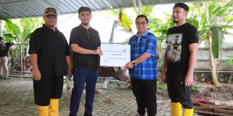 Walikota Banjarmasin H Ibnu Sina saat penyerahan sapi kurban ke pihak panitia kurban RSUD Sultan Suriansyah. (foto : shn/seputaran)