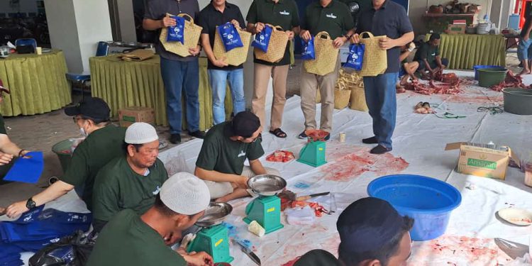 Pelaksanaan ibadah kurban di halaman kantor pusat Bank Kalsel. (foto : Bank Kalsel)