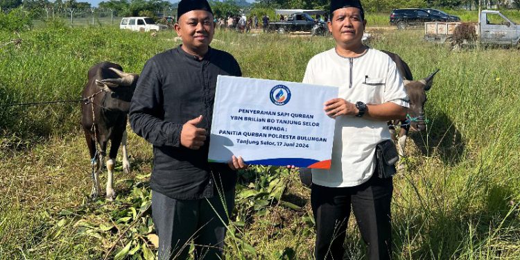 Keluarga besar BRI Branch Office Tanjung Selor (BO) menyalurkan hewan kurban kepada warga masyarakat berhak menerima. (foto : istimewa)